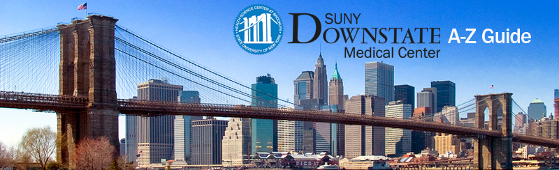 SUNY downstate development center